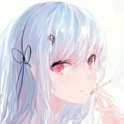 读者只看完结头像
